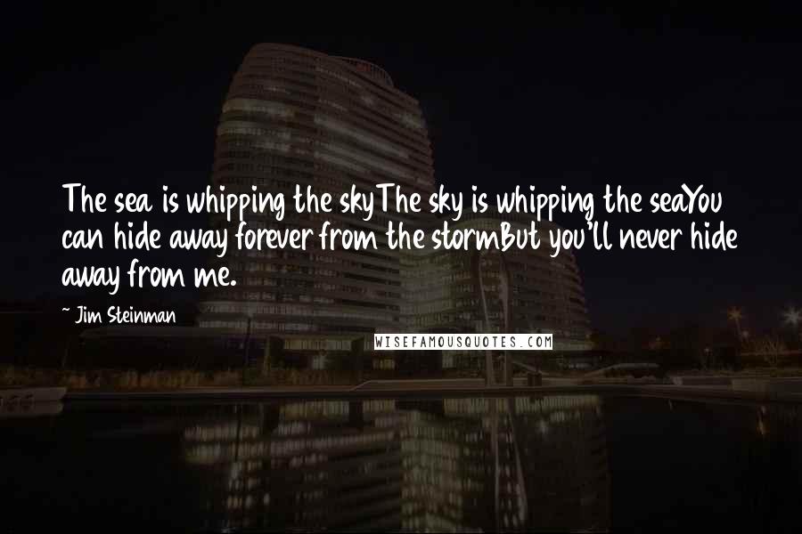 Jim Steinman Quotes: The sea is whipping the skyThe sky is whipping the seaYou can hide away forever from the stormBut you'll never hide away from me.