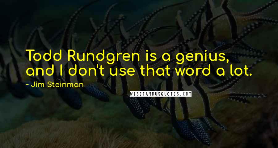 Jim Steinman Quotes: Todd Rundgren is a genius, and I don't use that word a lot.