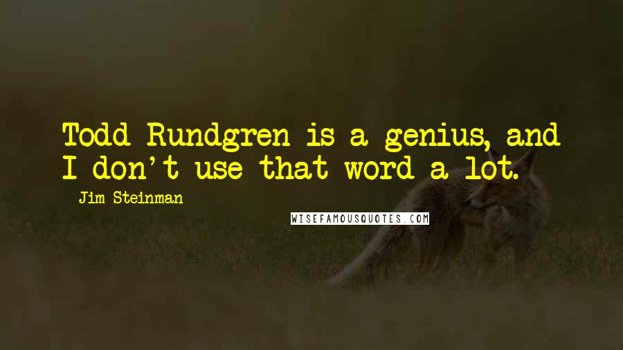 Jim Steinman Quotes: Todd Rundgren is a genius, and I don't use that word a lot.