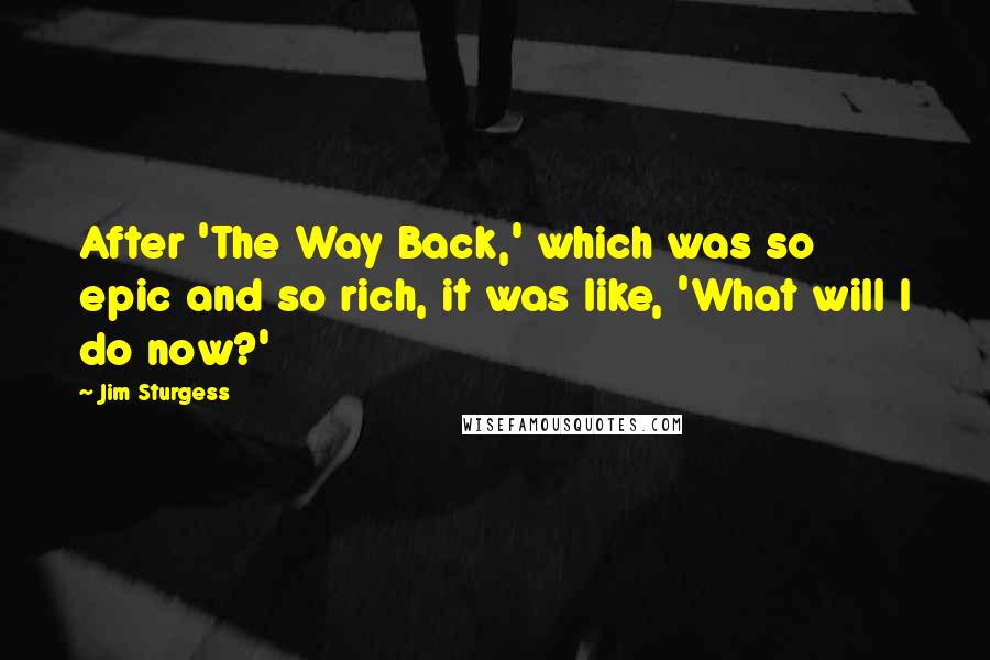 Jim Sturgess Quotes: After 'The Way Back,' which was so epic and so rich, it was like, 'What will I do now?'