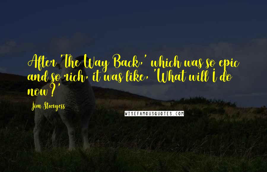 Jim Sturgess Quotes: After 'The Way Back,' which was so epic and so rich, it was like, 'What will I do now?'