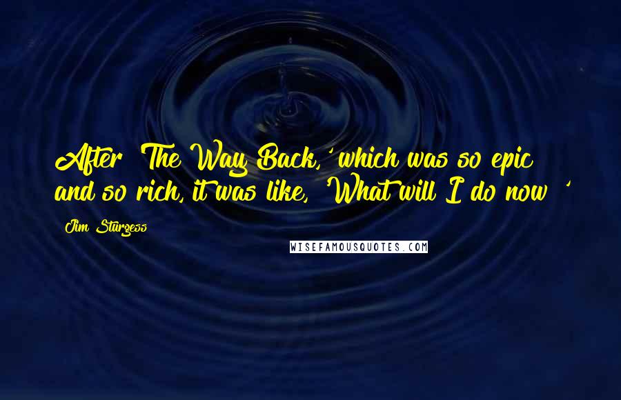 Jim Sturgess Quotes: After 'The Way Back,' which was so epic and so rich, it was like, 'What will I do now?'