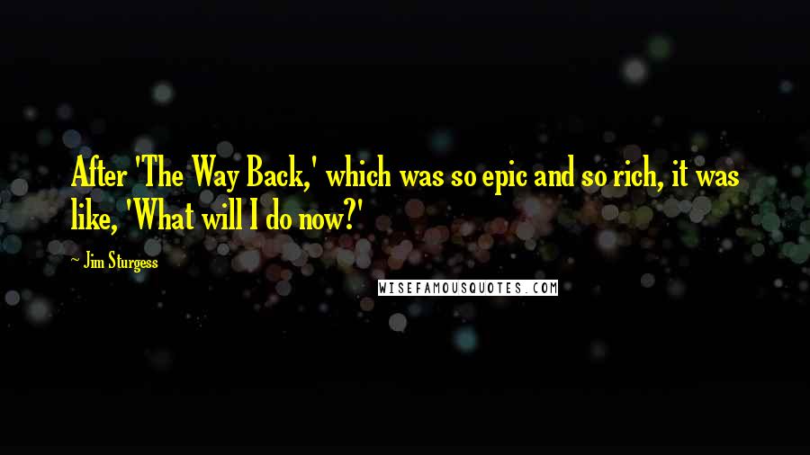 Jim Sturgess Quotes: After 'The Way Back,' which was so epic and so rich, it was like, 'What will I do now?'