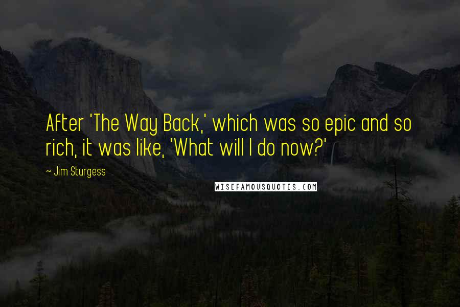 Jim Sturgess Quotes: After 'The Way Back,' which was so epic and so rich, it was like, 'What will I do now?'