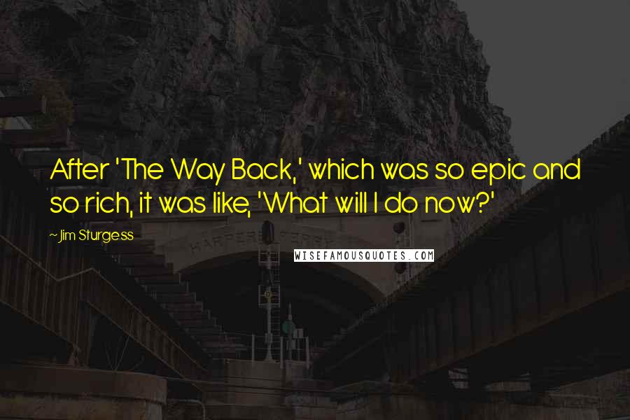 Jim Sturgess Quotes: After 'The Way Back,' which was so epic and so rich, it was like, 'What will I do now?'