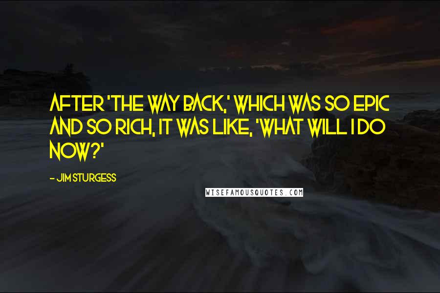 Jim Sturgess Quotes: After 'The Way Back,' which was so epic and so rich, it was like, 'What will I do now?'