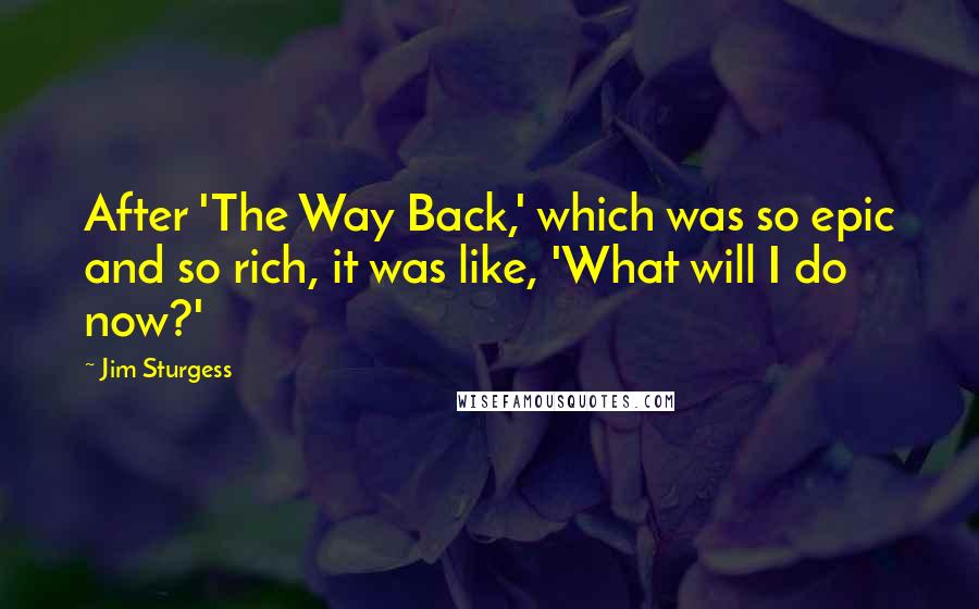 Jim Sturgess Quotes: After 'The Way Back,' which was so epic and so rich, it was like, 'What will I do now?'