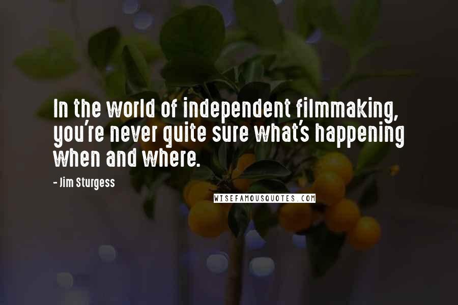 Jim Sturgess Quotes: In the world of independent filmmaking, you're never quite sure what's happening when and where.