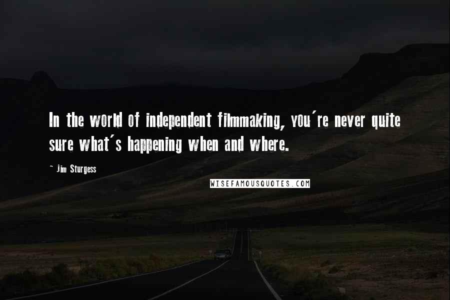 Jim Sturgess Quotes: In the world of independent filmmaking, you're never quite sure what's happening when and where.