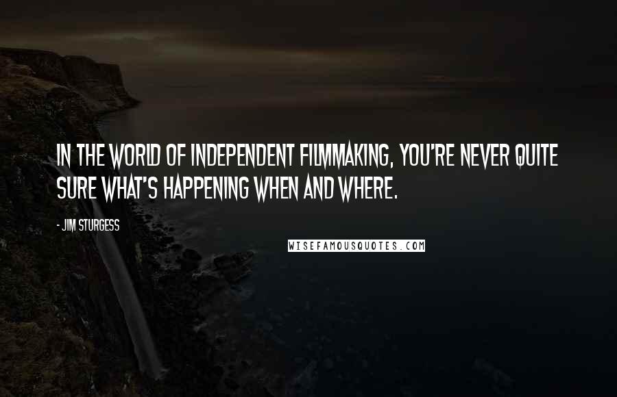 Jim Sturgess Quotes: In the world of independent filmmaking, you're never quite sure what's happening when and where.