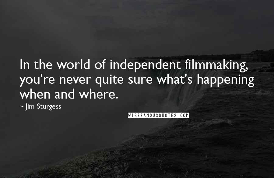 Jim Sturgess Quotes: In the world of independent filmmaking, you're never quite sure what's happening when and where.