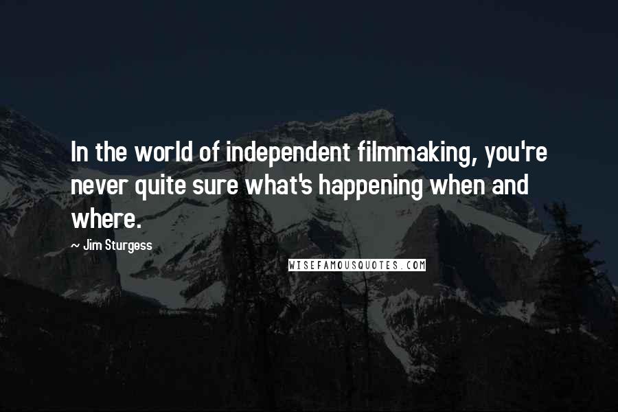 Jim Sturgess Quotes: In the world of independent filmmaking, you're never quite sure what's happening when and where.