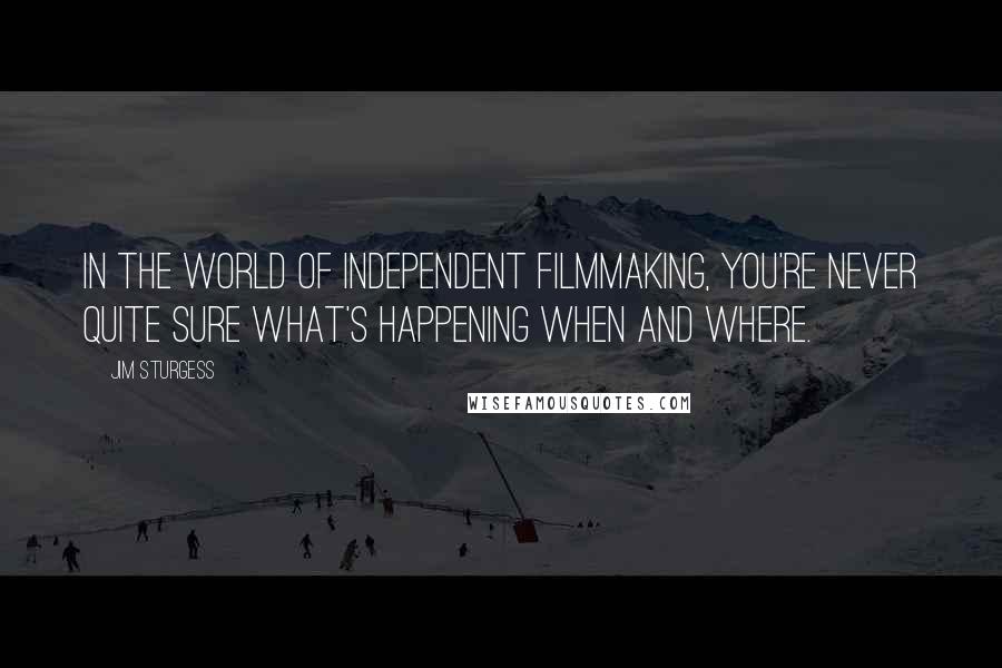 Jim Sturgess Quotes: In the world of independent filmmaking, you're never quite sure what's happening when and where.
