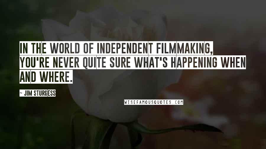 Jim Sturgess Quotes: In the world of independent filmmaking, you're never quite sure what's happening when and where.
