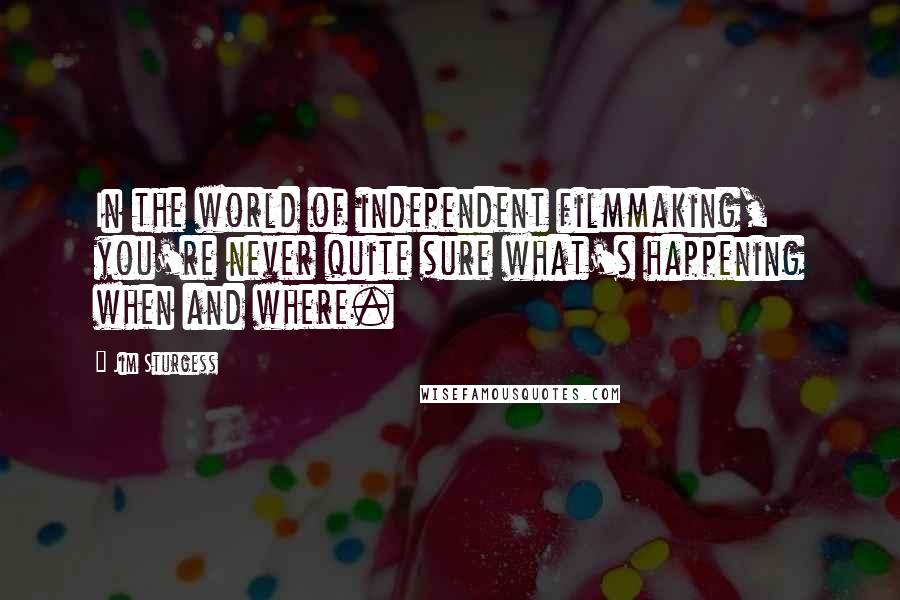 Jim Sturgess Quotes: In the world of independent filmmaking, you're never quite sure what's happening when and where.