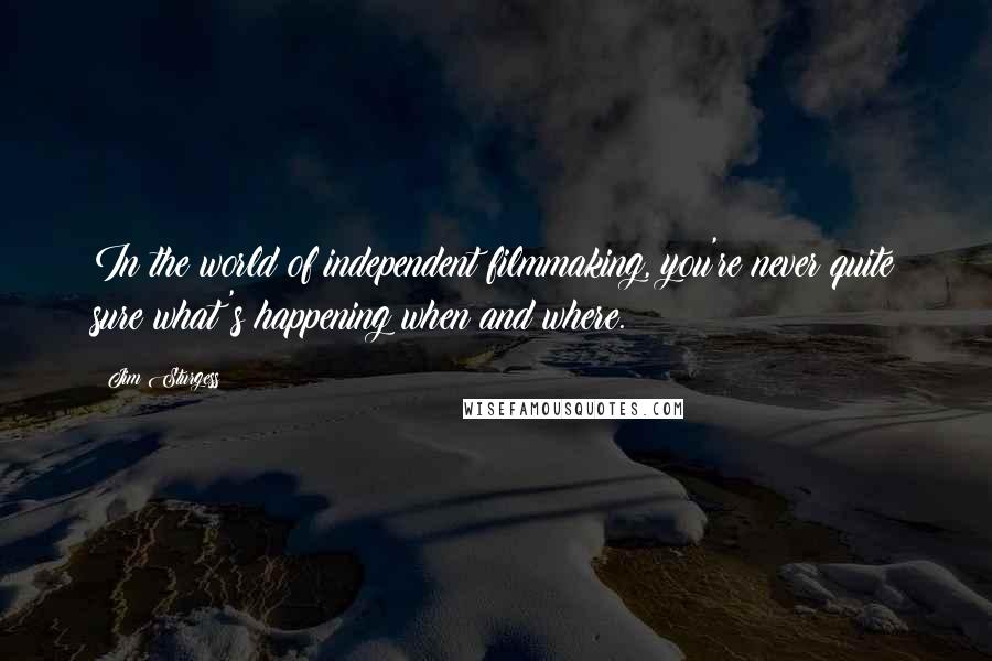 Jim Sturgess Quotes: In the world of independent filmmaking, you're never quite sure what's happening when and where.