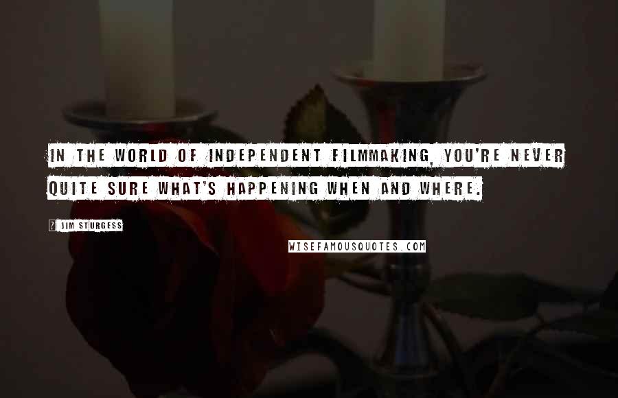 Jim Sturgess Quotes: In the world of independent filmmaking, you're never quite sure what's happening when and where.