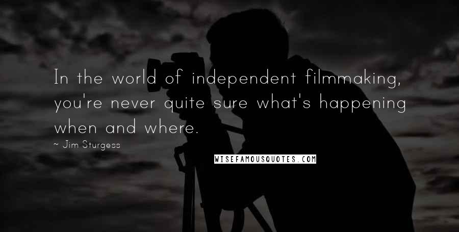 Jim Sturgess Quotes: In the world of independent filmmaking, you're never quite sure what's happening when and where.
