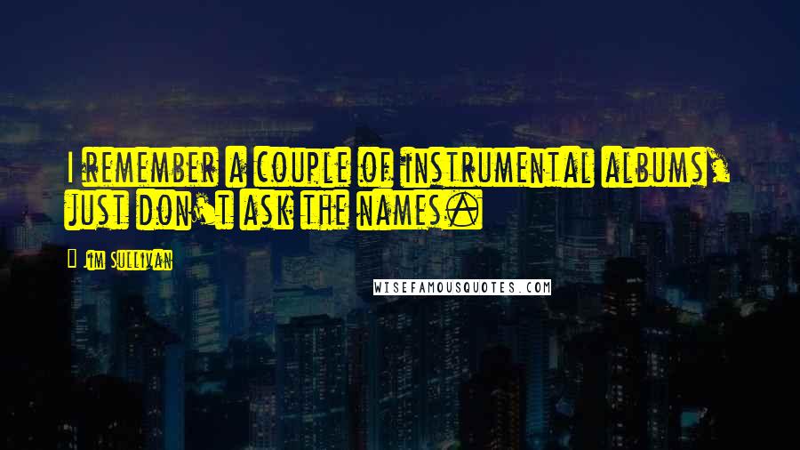 Jim Sullivan Quotes: I remember a couple of instrumental albums, just don't ask the names.