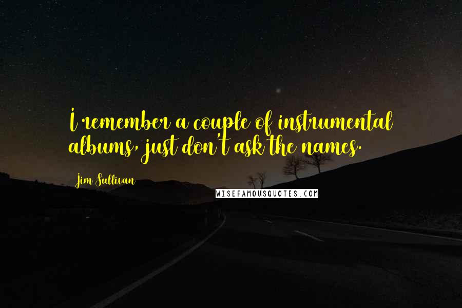 Jim Sullivan Quotes: I remember a couple of instrumental albums, just don't ask the names.