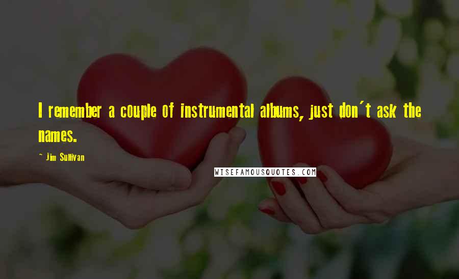 Jim Sullivan Quotes: I remember a couple of instrumental albums, just don't ask the names.