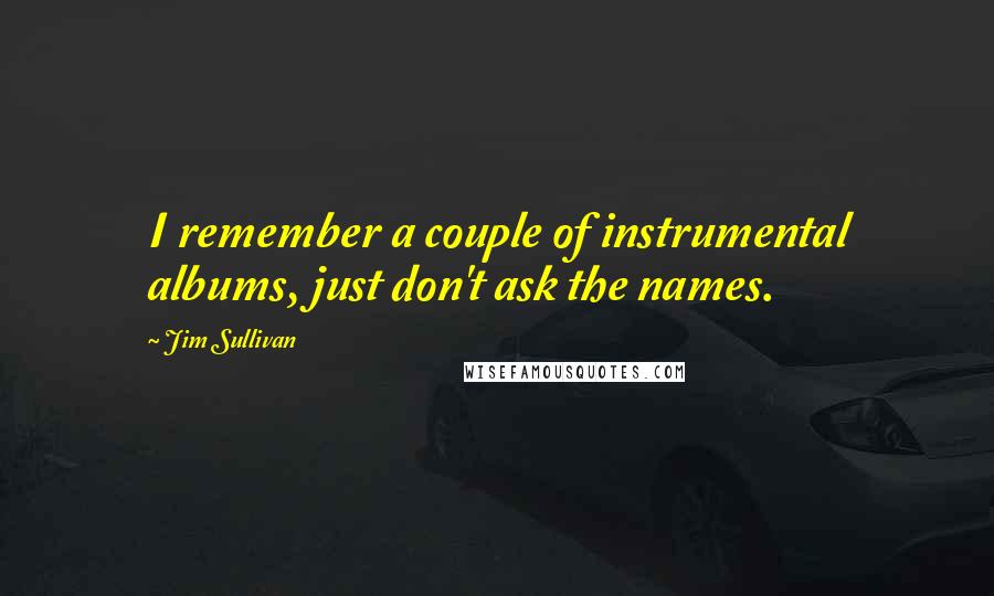 Jim Sullivan Quotes: I remember a couple of instrumental albums, just don't ask the names.