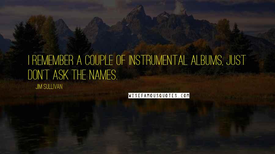 Jim Sullivan Quotes: I remember a couple of instrumental albums, just don't ask the names.
