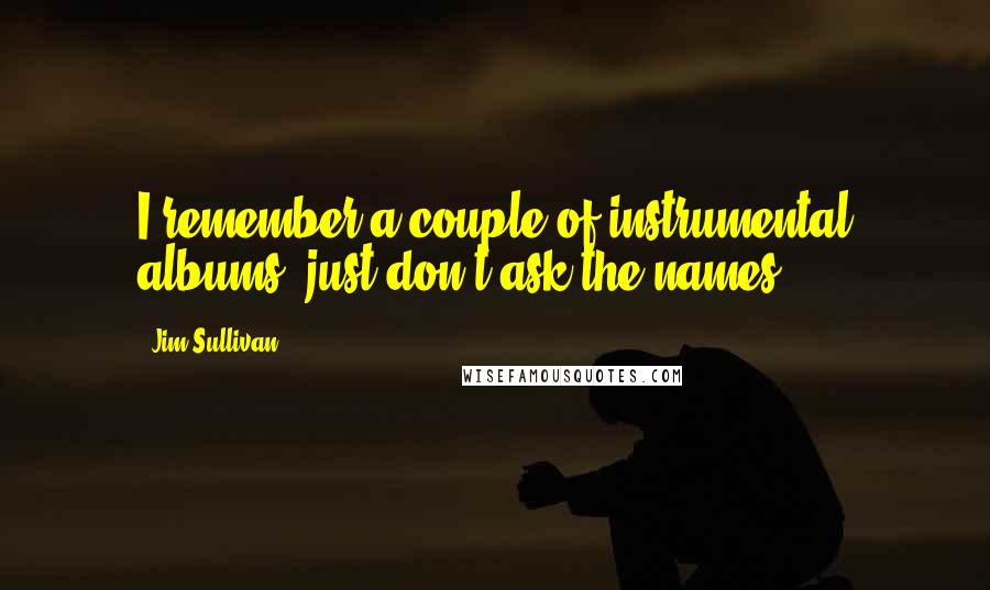Jim Sullivan Quotes: I remember a couple of instrumental albums, just don't ask the names.