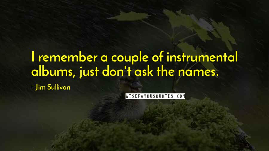 Jim Sullivan Quotes: I remember a couple of instrumental albums, just don't ask the names.