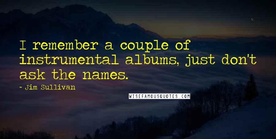 Jim Sullivan Quotes: I remember a couple of instrumental albums, just don't ask the names.