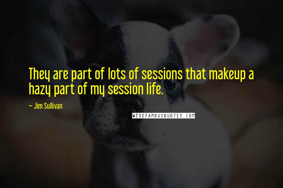 Jim Sullivan Quotes: They are part of lots of sessions that makeup a hazy part of my session life.