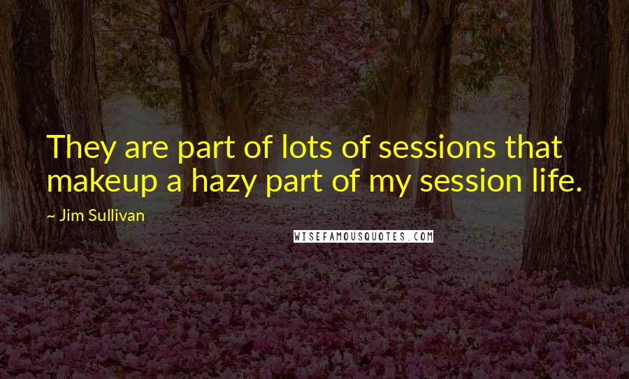 Jim Sullivan Quotes: They are part of lots of sessions that makeup a hazy part of my session life.