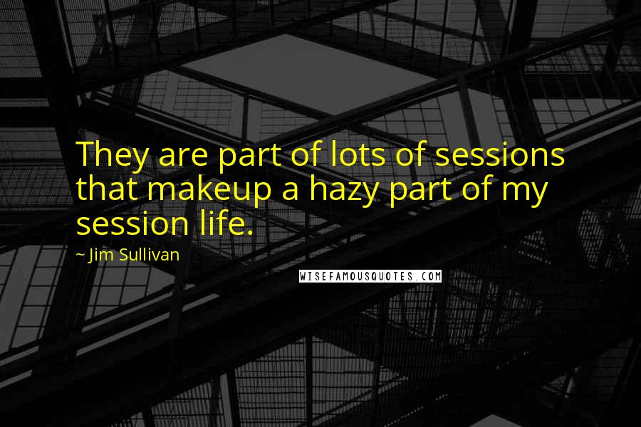 Jim Sullivan Quotes: They are part of lots of sessions that makeup a hazy part of my session life.