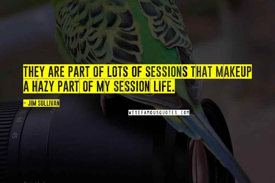 Jim Sullivan Quotes: They are part of lots of sessions that makeup a hazy part of my session life.