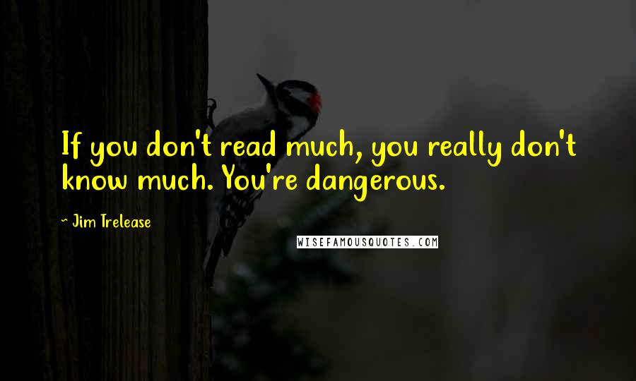 Jim Trelease Quotes: If you don't read much, you really don't know much. You're dangerous.