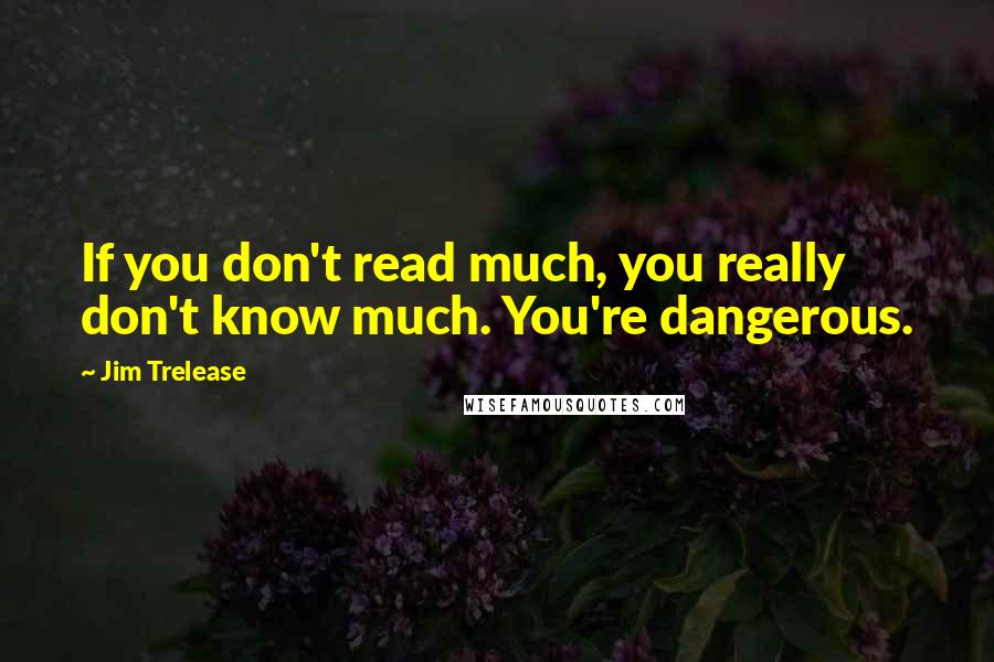 Jim Trelease Quotes: If you don't read much, you really don't know much. You're dangerous.