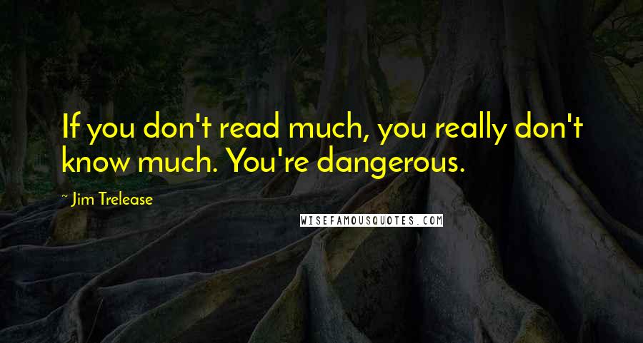 Jim Trelease Quotes: If you don't read much, you really don't know much. You're dangerous.