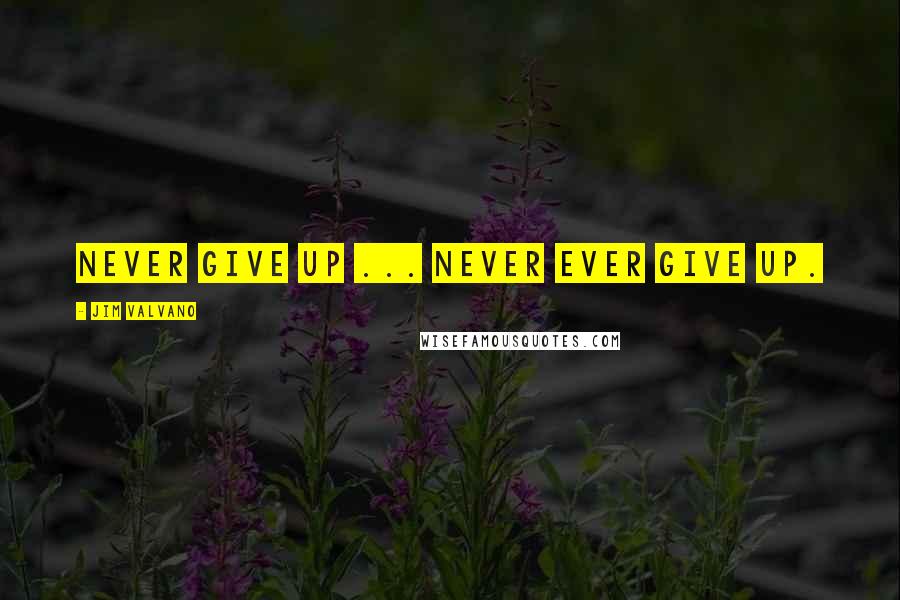 Jim Valvano Quotes: Never give up ... never ever give up.