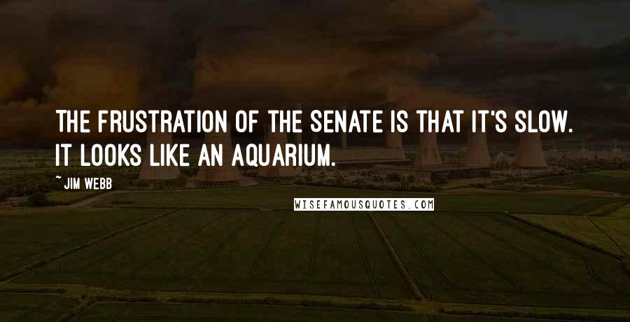Jim Webb Quotes: The frustration of the Senate is that it's slow. It looks like an aquarium.