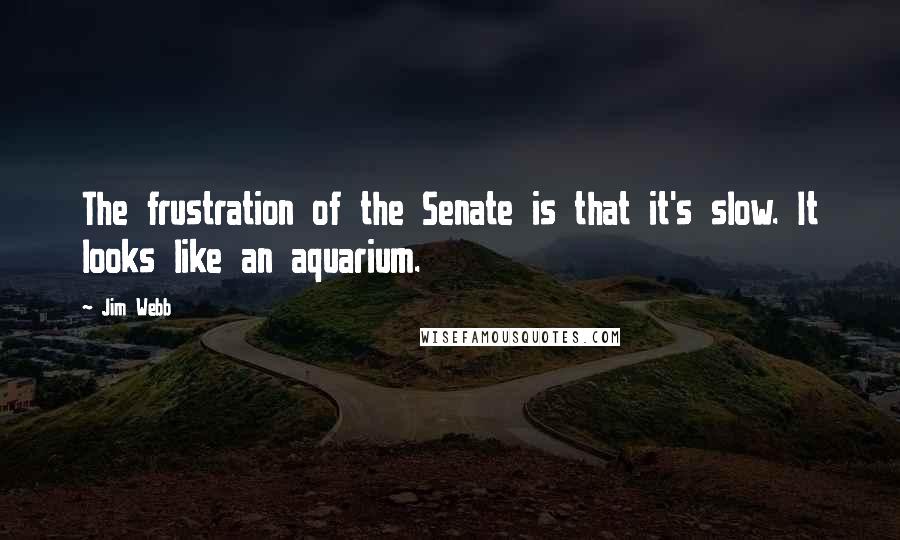 Jim Webb Quotes: The frustration of the Senate is that it's slow. It looks like an aquarium.