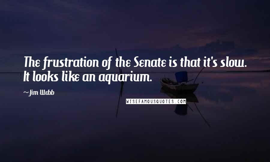 Jim Webb Quotes: The frustration of the Senate is that it's slow. It looks like an aquarium.