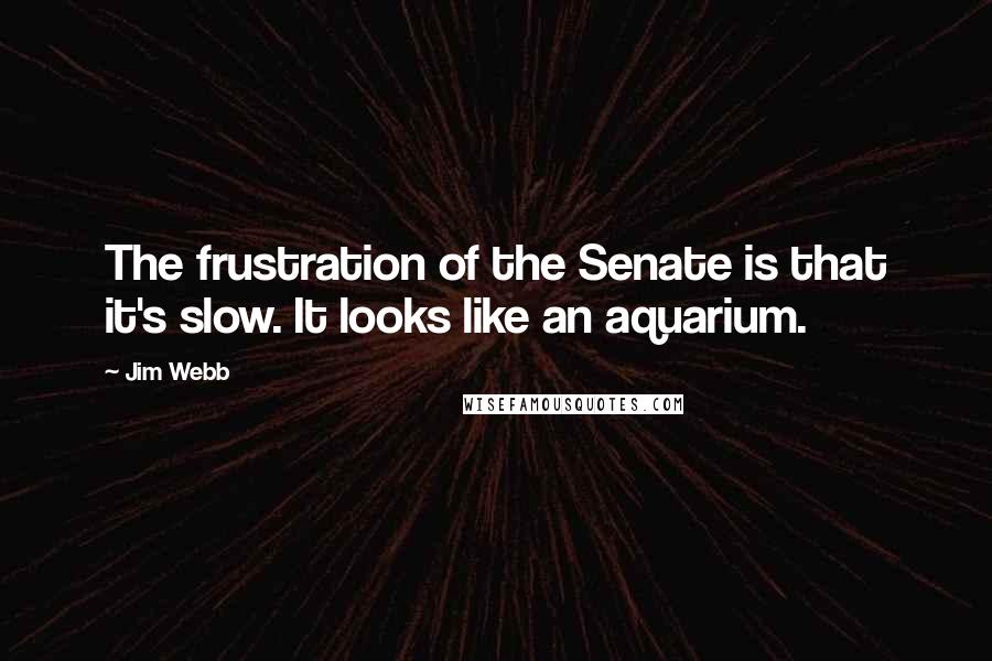 Jim Webb Quotes: The frustration of the Senate is that it's slow. It looks like an aquarium.