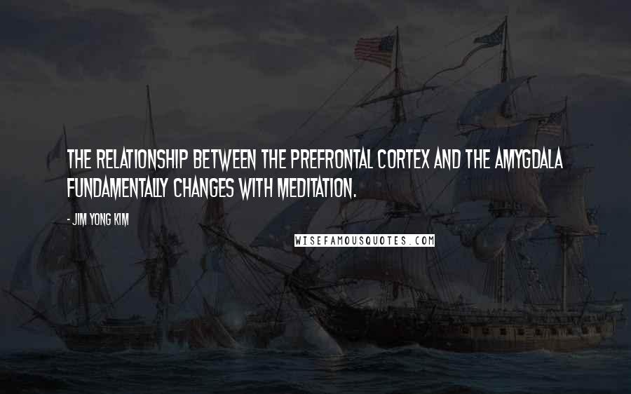 Jim Yong Kim Quotes: The relationship between the prefrontal cortex and the amygdala fundamentally changes with meditation.