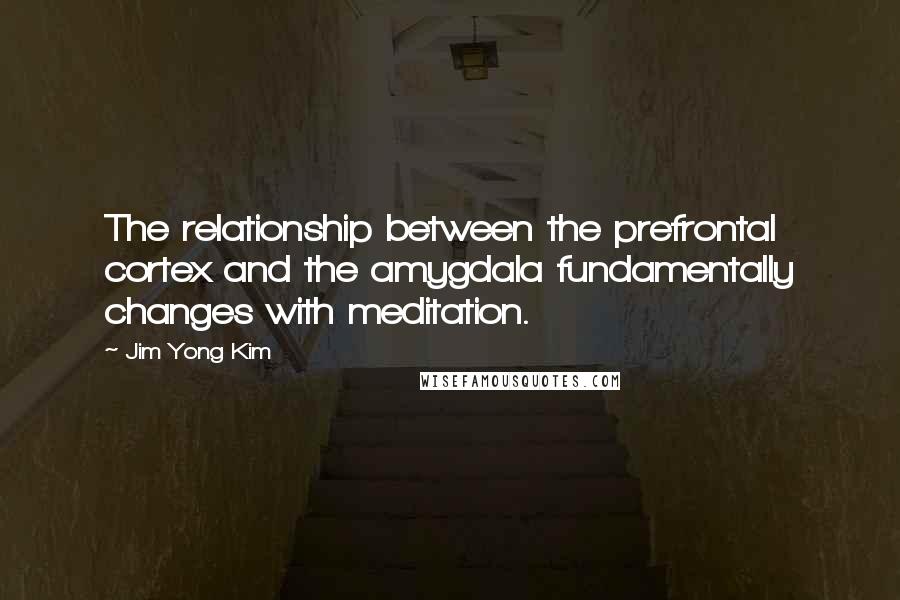 Jim Yong Kim Quotes: The relationship between the prefrontal cortex and the amygdala fundamentally changes with meditation.