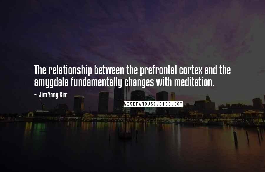 Jim Yong Kim Quotes: The relationship between the prefrontal cortex and the amygdala fundamentally changes with meditation.