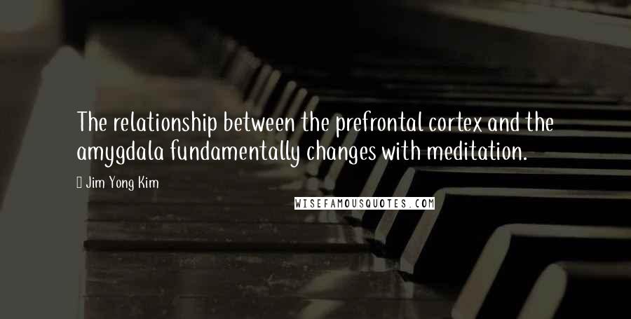 Jim Yong Kim Quotes: The relationship between the prefrontal cortex and the amygdala fundamentally changes with meditation.