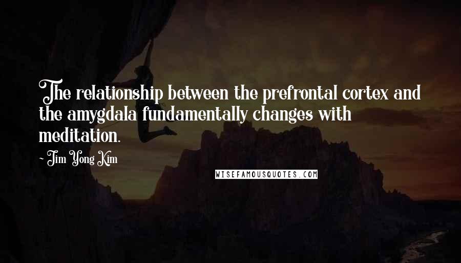 Jim Yong Kim Quotes: The relationship between the prefrontal cortex and the amygdala fundamentally changes with meditation.