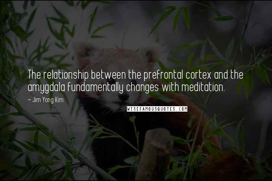 Jim Yong Kim Quotes: The relationship between the prefrontal cortex and the amygdala fundamentally changes with meditation.