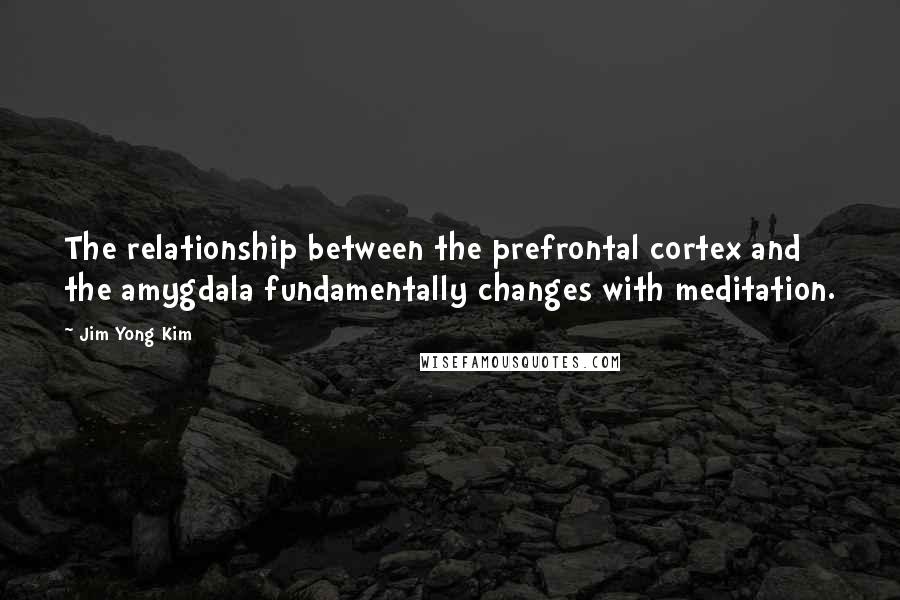 Jim Yong Kim Quotes: The relationship between the prefrontal cortex and the amygdala fundamentally changes with meditation.