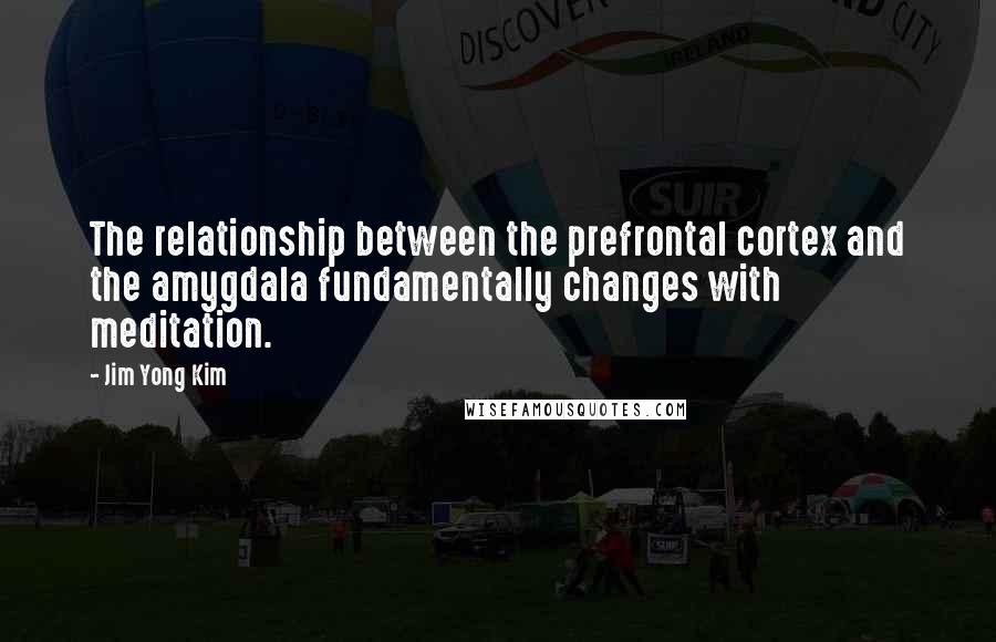 Jim Yong Kim Quotes: The relationship between the prefrontal cortex and the amygdala fundamentally changes with meditation.